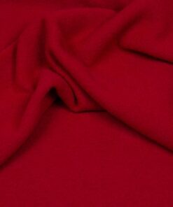 Leichtwalker rot.JPG