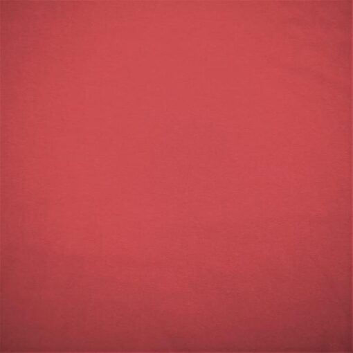 Baumwolljersey-rot.JPG