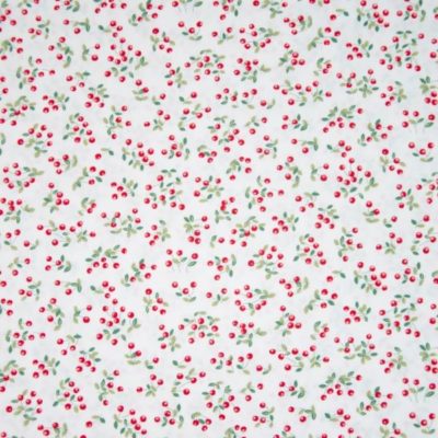 Florencia Kirschen 17,50 €
