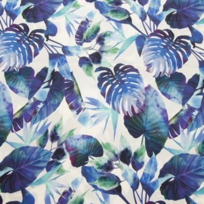 Monstera blau 28,50 €